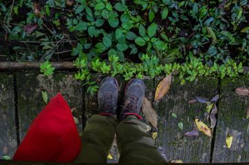 legs of men standing on bridge in rain forest