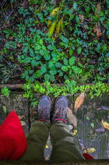 legs of men standing on bridge in rain forest