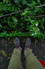 legs of men standing on bridge in rain forest