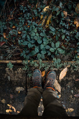 legs of men standing on bridge in rain forest