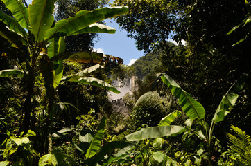 rain forest in Umphang Thailand