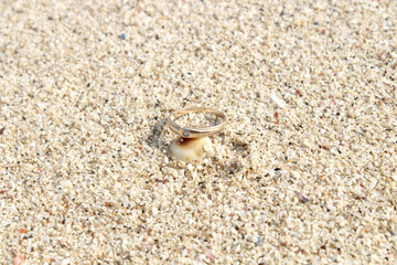 Drop the ring on the sand