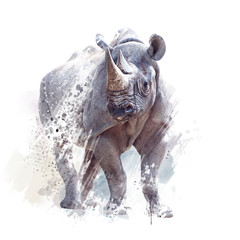 black rhinoceros watercolor on white background © SunnyS