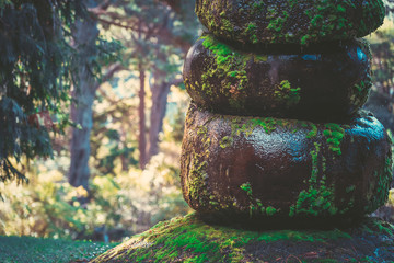 mossy stone with water drop