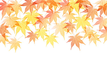 紅葉 秋 風景 背景 Poster Posters Wallsheaven J Boy
