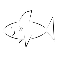 illustration of a shark