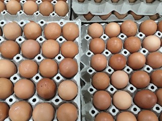 The eggs on the paper tray