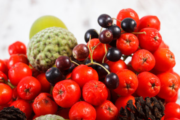 Autumn fruits of forest on rustic wooden background