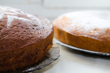 Two biscuit tarts on a white windowsill.
