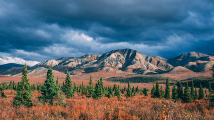 Fototapeta premium view of mountains in Alaska Denali National Park