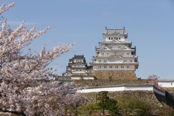 春の姫路城