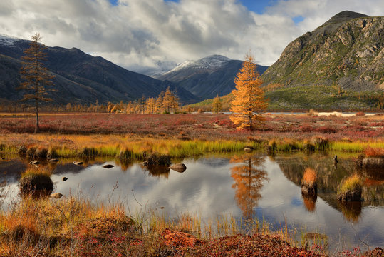 Autumn in the mountains, Magadan region, Kolyma, Jack London lake