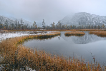 Reflection of trees in water, Magadan region, Kolyma, Jack London lake