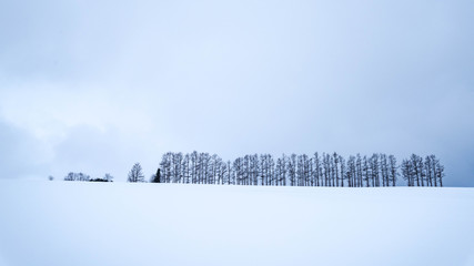 北海道の冬