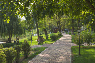 Park alleys with green spaces and trees