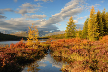 Autumn landscape with lake and trees, Magadan region, Kolyma, Jack London lake