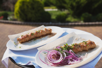 juicy kebab with sweet onions on a white platter