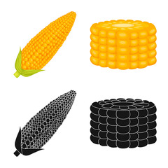 Vector illustration of cornfield and vegetable symbol. Collection of cornfield and vegetarian stock symbol for web.