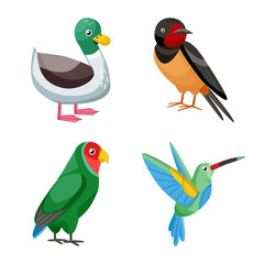 Vector illustration of animal and wild symbol. Collection of animal and nature stock vector illustration.