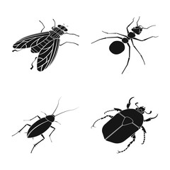 Vector illustration of wings and wing symbol. Collection of wings and fly vector icon for stock.
