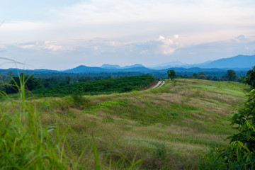 The path on the ridge of a rural corn farmer