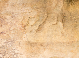 Fototapeta na wymiar stone texture , rock surface , boulder skin