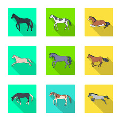 Vector illustration of breed and equestrian icon. Collection of breed and mare vector icon for stock.