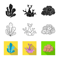 Vector design of biodiversity and nature icon. Collection of biodiversity and wildlife stock vector illustration.