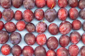 Unfolded berry plum. Lots of plums. Seasonal berry.