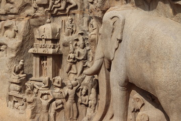Fototapeta premium Arjuna's Penance Mahabalipuram Sculpture Art closeup