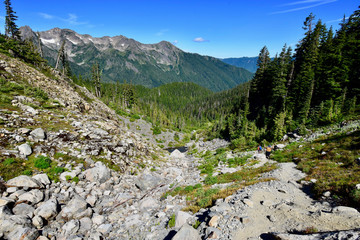 Fototapeta premium Washington