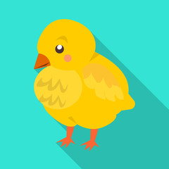 Isolated object of baby and chick icon. Set of baby and animal stock vector illustration.