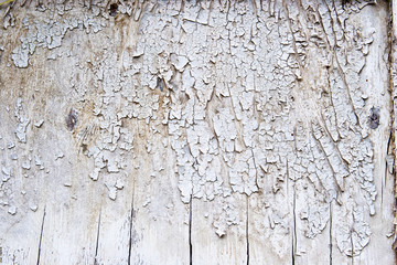 texture of old wall