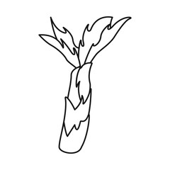 Vector illustration of palm and forest symbol. Collection of palm and green stock symbol for web.