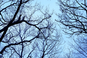 不気味イメージ