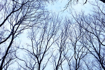 不気味イメージ