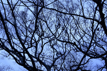 不気味イメージ