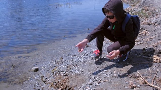 Boy holds in hands little frog and lets her go into the river. oy is walking on the riverbank. He is catching frogs. He is wearing sport suit. Child ourdoor nature exploring.