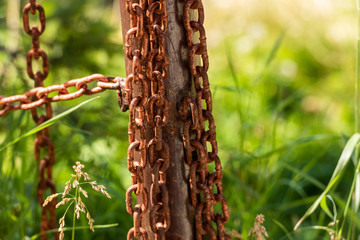 Old rusted iron chain, blurred background with plants