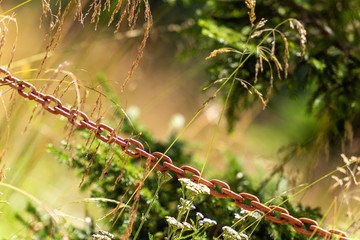 Old rusted iron chain, blurred background with plants