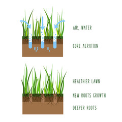 Lawn Care Vector 