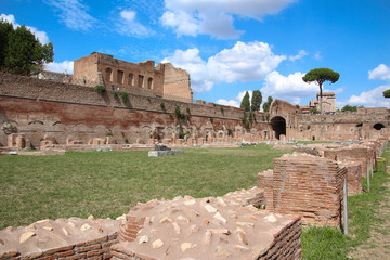 The Palatine Hill in Rome