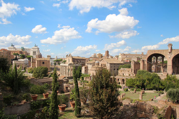 Fototapeta na wymiar View on the Roman Forum in the heart of Rome