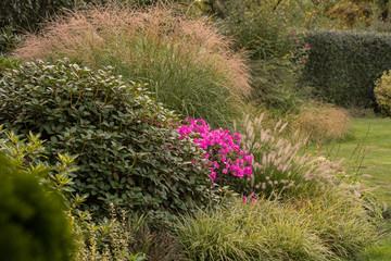 Jesień w ogrodzie © Beenis