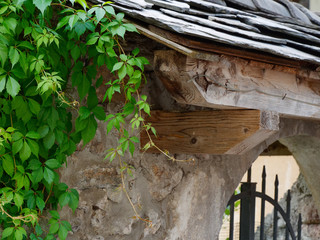 Obraz premium beautiful window with greenery on the wall of an italian house