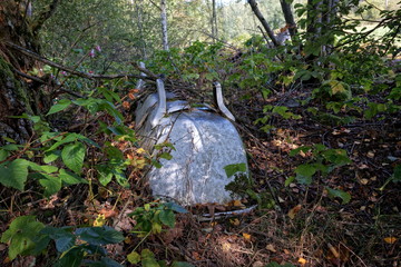 white vintage bathtub lying in the woods