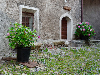 beautiful window with greenery on the wall of an italian house