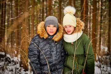 Fototapeta premium Children boy and girl walking in snow forest in a winter day. Teenagers having trip and rest in weekend outdoor
