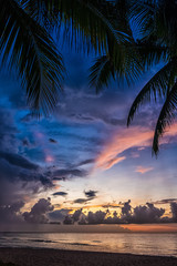 Obraz na płótnie Canvas Sunset and palms