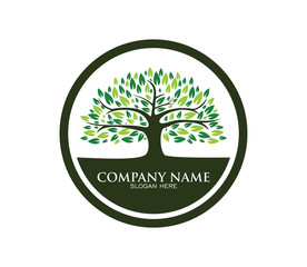 Obraz premium Tree of life logo design inspiration isolated on white background - Vector